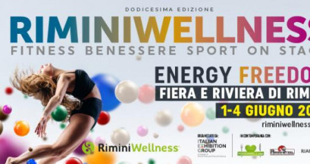 rimini wellness 2017