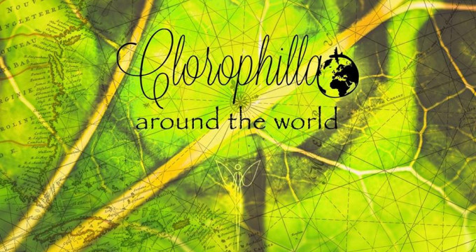 THE FRIDAY - CLOROPHILLA